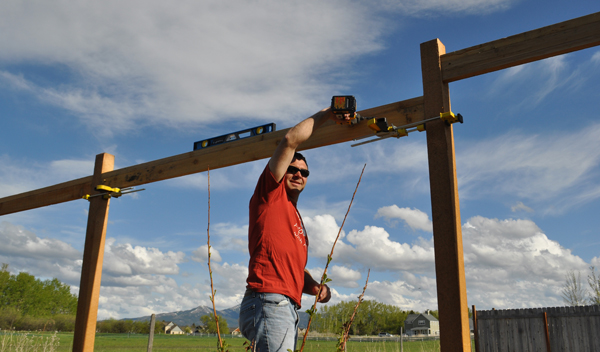 Cedar Fence Tutorial