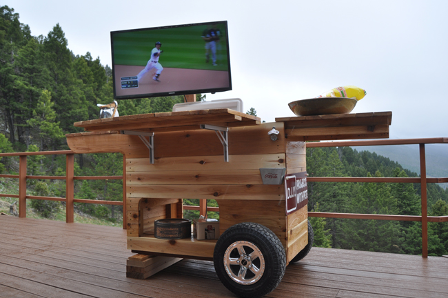 Tailgate bar with TV