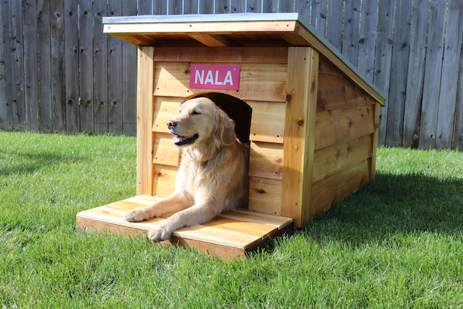 DIY Doghouse