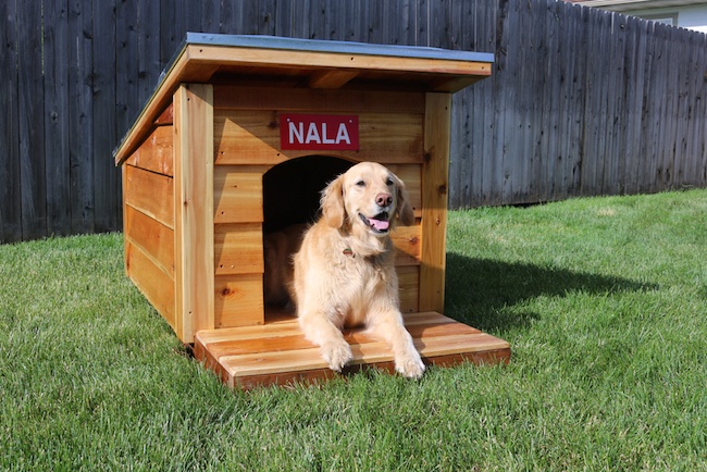 how to make a doghouse