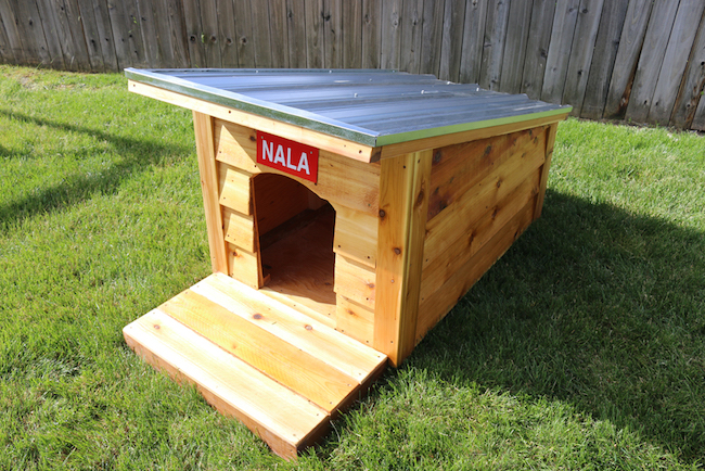 doghouse in yard