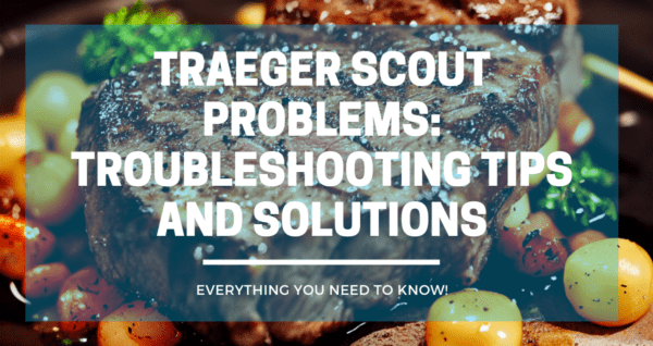 Traeger Scout Problems
